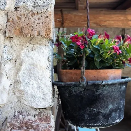 Casa Rita 1 In Vesio Apartment